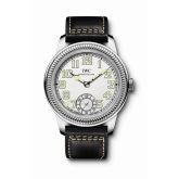 Iwc best sale vintage collection